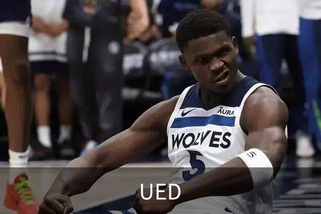 UED 公司简介